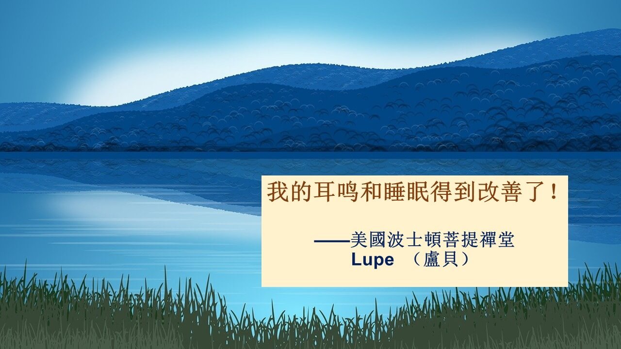 Lupe